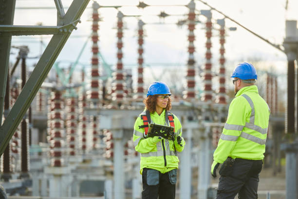 Best Electric Panel Repair  in Horse Pasture, VA